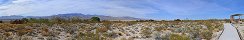 Desert National Wildlife Refuge near Las Vegas (Nevada, USA)